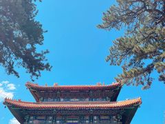 -普陀宗乘之庙