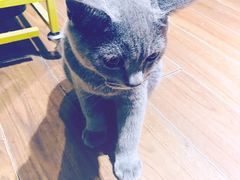-游人馆·桌游狼人杀团建馆(人广书城店)