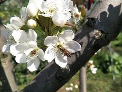 -树山生态村
