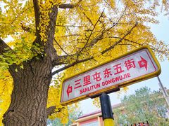 -三里屯东五街银杏大道