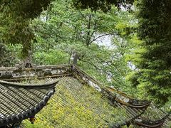 -青城山