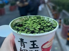 -青玉酸奶青海老酸奶、甜醅子