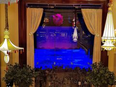 -拉斯维加斯永利酒店