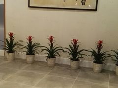 -洪盛堂(净居寺南街店)