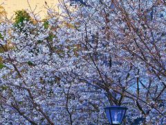 -浙江大学(玉泉校区)