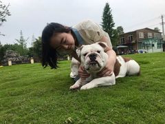-洪湖家庭农场·团建·露营·会议