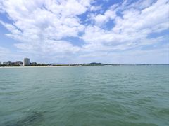 -港畔赶海蒸汽海鲜烧烤自助(仙螺岛店)