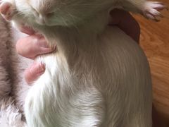 -银涛高尔夫练习场(徐泾店)