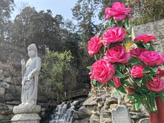 -八大处公园