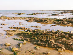 -刘家湾赶海园