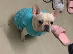 -瑞鹏宠物医院