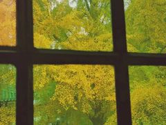 -国家图书馆·古籍馆