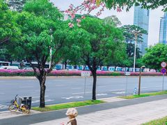 -莲花山公园