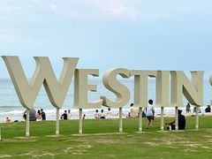 -元素中餐厅.海南菜.粤菜.椰子鸡.海鲜.包房.石梅湾威斯汀度假酒店