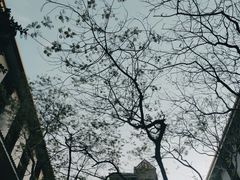 -平安（深圳）金融教育培训中心