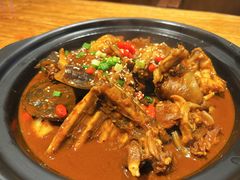 甲鱼牛蛙锅-洪湘记川湘·甲鱼馆(四海凯悦美食广场店)