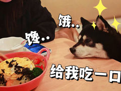 -柴の食堂·日式家庭料理·熊之肆(大学路店)