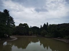 -海珠湖公园