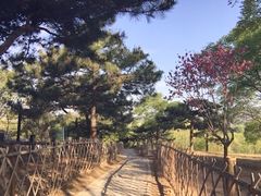 -北京西山国家森林公园