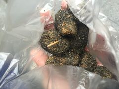 -叶氏麻糍(鼓浪屿店)