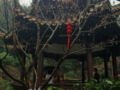 -杭州黄龙洞