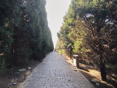 -秦始皇帝陵博物院-丽山园