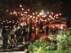 -河内西湖莲花自助餐厅