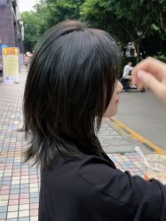 -蚂蚁造型沙龙