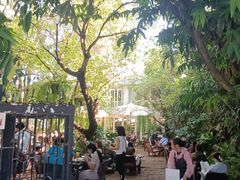 -Fern Forest Cafe