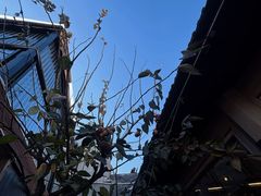 -后海16号·北京私房菜