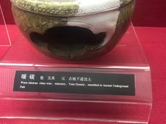 -亳州博物馆