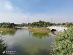 -王借岗森林公园