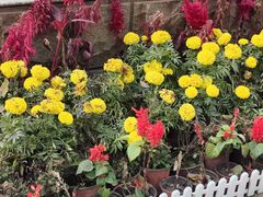 -森林公园(尖草坪区)