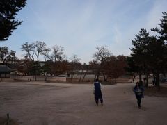 -景福宫