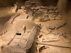 -洛阳周王城天子驾六博物馆