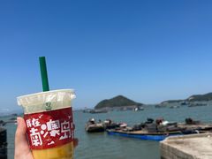 -南澳岛打卡果汁冰公司