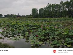 -东湖生态旅游风景区
