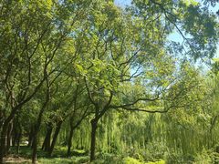 -元大都城垣遗址公园