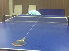 -道顺射箭·团建·骑射(张杨路店)
