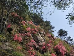 -木兰云雾山