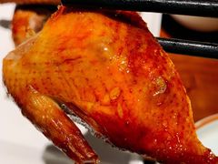 -燕郊烧鸽子(广安路店)
