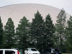 -二十一世纪饭店-游泳馆