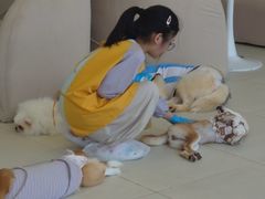 -怪兽屋·羊驼·猫咖·狗咖(俊华广场店)