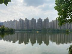 -成都南湖公园