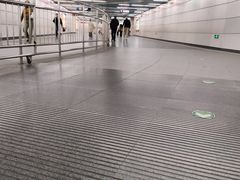 -大望路(地铁站)