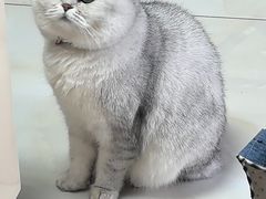 -佑安动物医院·全科·内窥镜中心(幸福巷店)