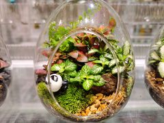 -KKV(深圳宏发大仟里店)