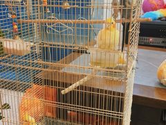 -潇湘·永州会馆(百子湾店)