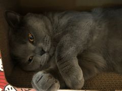 -Me Coffee下午茶艺术空间