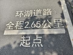 -海珠湖公园